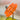 Oranje UFO tafellamp, modern design, transparant acryl, chromen bol, interieurdecoratie.