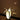 Bananen tafellamp, wit en zwart, modern design, sfeerverlichting, woonkamer decor.