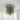 Groene Murano plafondlamp, glazen design, cilindervormig, decoratief plafondornament.