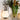 Draagbare lantaarn tafellamp, wit, modern design, naast bloemenvaas, sfeerverlichting.