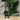 Groene vintage olielamp op houten tafel, glazen kap, retro interieurdecoratie.
