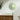Groene ronde wandlamp op witte muur, moderne interieurdecoratie, houten kast, boeken, plant.