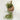 Hangende macramé plantenhouder met groene plant, handgemaakt, boho decor, beige touw.
