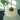 Moderne hanglamp wit glas, metalen fitting, minimalistisch design, interieurverlichting.