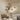Twee hanglampen beton modern design, houten accenten, minimalistisch interieur, beige tinten.