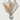 Beige pampasgras in witte keramische vaas, decoratief, droogbloemen, interieurdecoratie.