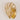 Gouden schelp wandlamp, glazen kap, moderne verlichting, decoratieve muurverlichting.