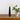 Moderne zwarte tafellamp met witte kap op houten tafel naast groene plant in witte pot.