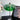 Groene glazen tafellamp met chromen voet, modern design, geschikt voor woonkamer of kantoor.