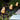 Solar tuinverlichting uil vorm, LED, decoratief, buitengebruik, energiezuinig, wit licht.