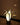 Bananen tafellamp, wit en zwart, modern design, sfeerverlichting, woonkamer decor.