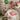 Rode en witte gestreepte tafellamp in kinderkamer met knuffels en kerstdecoratie.