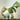 Witte dinosaurus tafellamp met groene Monstera plant in glazen vaas, moderne woondecoratie.