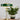 Groene tafellamp met messing voet naast kamerplant in pot op houten tafel.