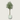 Kunstmatige olijfboom in witte pot, decoratieve plant voor interieur, groen blad.