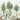 Drie olijfbomen in witte potten, moderne woonkamer, houten vloer, decoratieve planten.