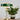 Groene tafellamp met gouden standaard naast kamerplant in pot op houten tafel.