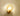 Gouden schelp wandlamp, glazen kap, sfeerverlichting, modern interieur, wanddecoratie.