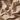 Zijdezachte beige stof, luxe textiel, glanzend satijn, interieurdecoratie, modetrend.